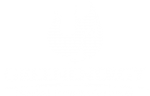 LogotypGreenEnergywhite